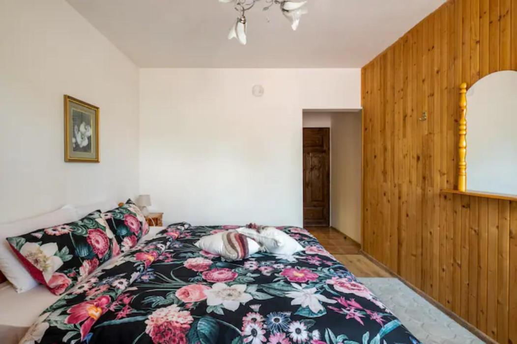 Guest House Geranium アルバナシ エクステリア 写真