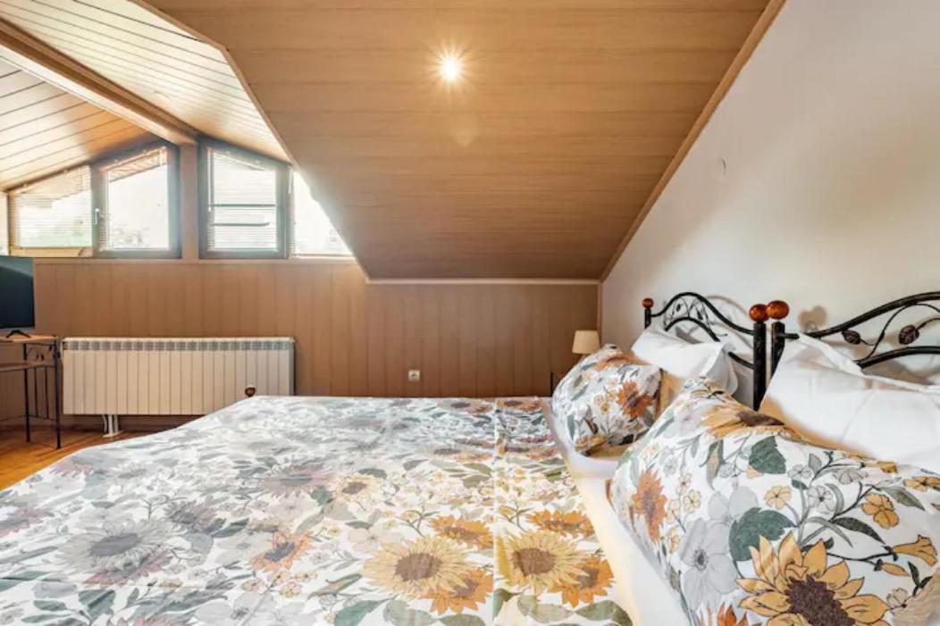 Guest House Geranium アルバナシ エクステリア 写真